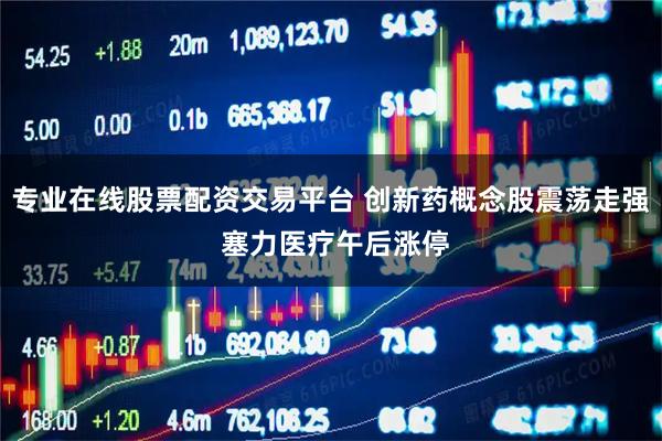 专业在线股票配资交易平台 创新药概念股震荡走强 塞力医疗午后涨停